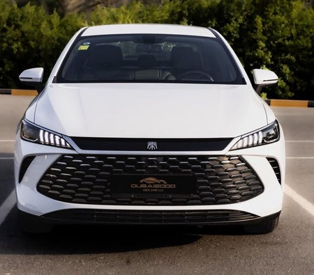 White BYD QIN Plus 2025