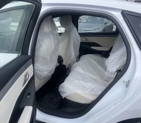 بي واي دي تشين بلس 2025, photo 4 of 4