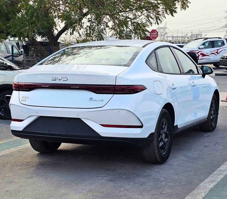 White BYD QIN Plus 2025