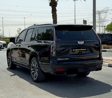 Черный Cadillac Escalade 2023 год