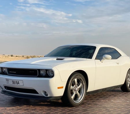 Gebruikt slimmigheidje Challenger SE in Dubai