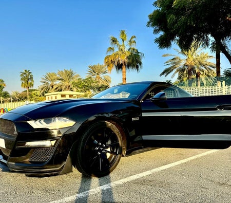 Ford Mustang EcoBoost 2020, photo 1 of 4