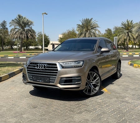 Audi Q7 45 TFSI Quattro 2019, photo 1 of 4