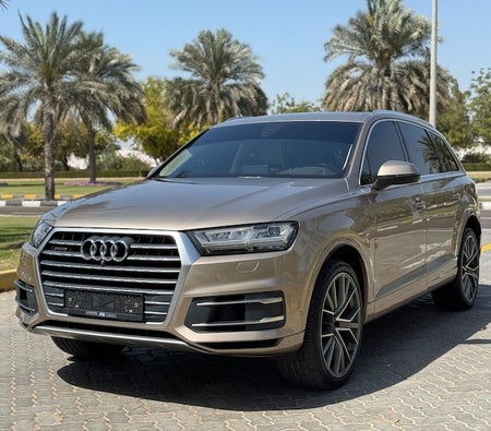 Audi Q7 45 TFSI Quattro 2019, photo 4 of 4