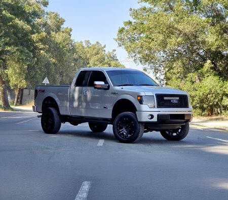 Ford F 150 2014, photo 1 of 4