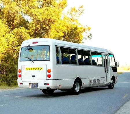 Mitsubishi Fuso Rosa 2022, photo 3 of 4