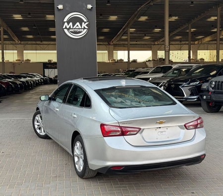 Argent Chevrolet Malibu 2021