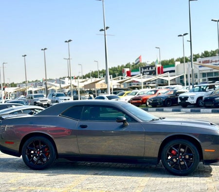 Dodge Challenger  2019, photo 4 of 4