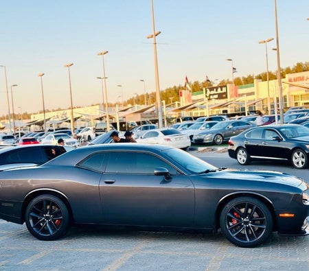 Dodge Challenger  2019, photo 4 of 4