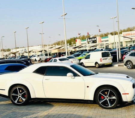 Dodge Challenger  2021, photo 4 of 4