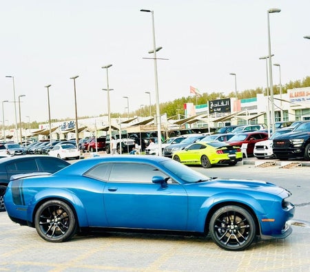 Dodge Challenger  2021, photo 4 of 4