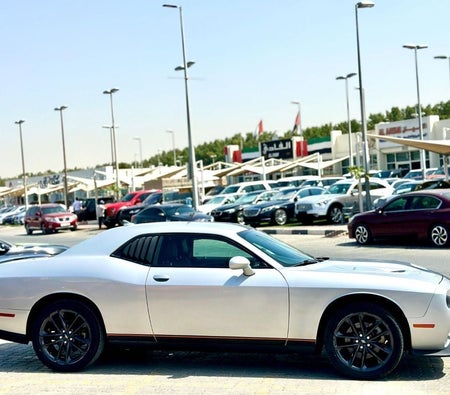 Dodge Challenger  2021, photo 4 of 4