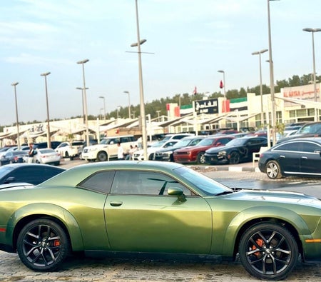 Dodge Challenger  2021, photo 4 of 4