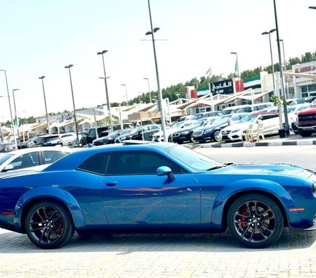 Dodge Challenger  2021, photo 4 of 4