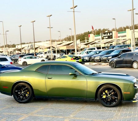 Dodge Challenger  2022, photo 4 of 4