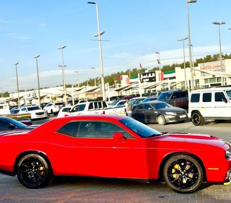 Dodge Challenger  2022, photo 4 of 4