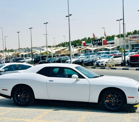 Dodge Challenger  2022, photo 4 of 4