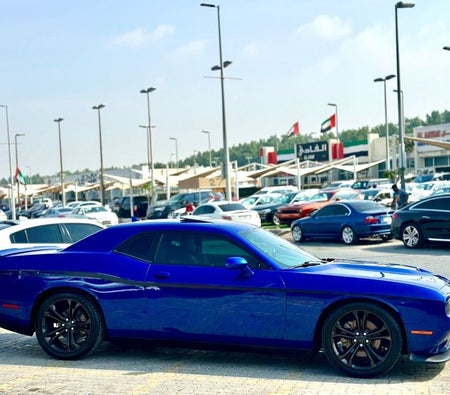 Dodge Challenger  2022, photo 4 of 4