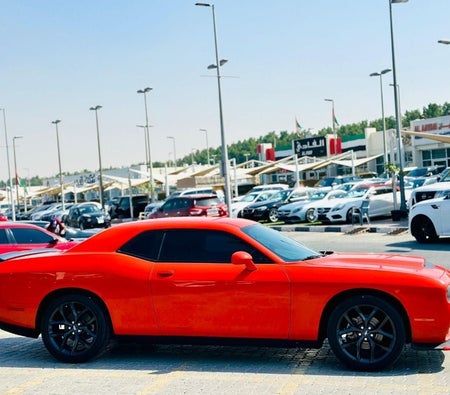 Dodge Challenger  2023, photo 4 of 4