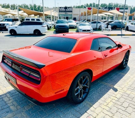 Оранжевый Dodge Challenger 2023 год Оранжевый Dodge Challenger 2023 год