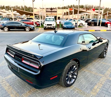 Dodge Challenger  2023, photo 4 of 4