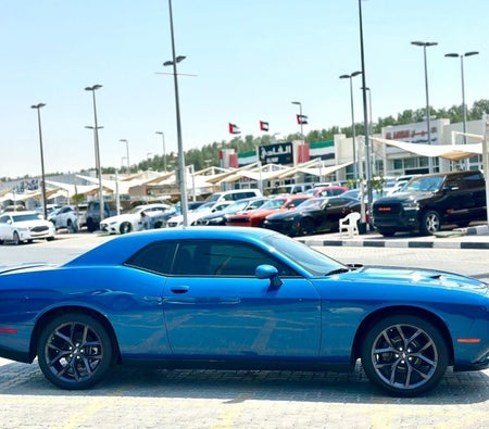 Dodge Challenger  2023, photo 4 of 4