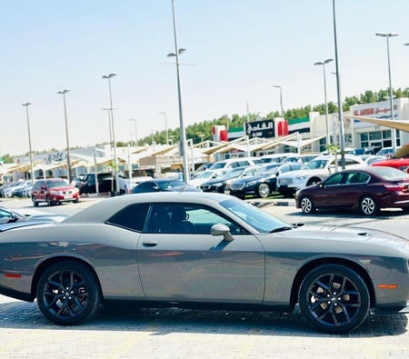 Dodge Challenger  2023, photo 4 of 4