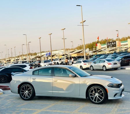 Dodge Charger  2021, photo 4 of 4