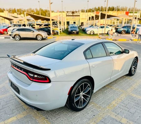 Gray Dodge Charger 2021