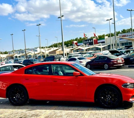 Dodge Charger  2021, photo 4 of 4