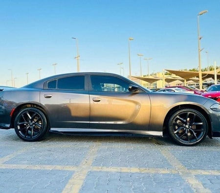 Dodge Charger  2021, photo 4 of 4