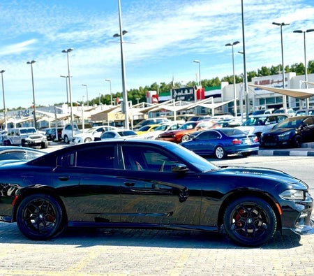 Dodge Charger  2021, photo 4 of 4