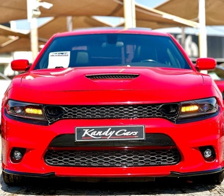Dodge Charger  2021, photo 2 of 4