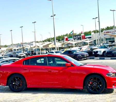 Dodge Charger  2021, photo 4 of 4