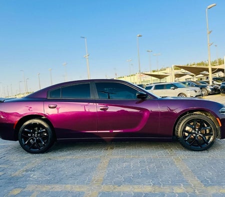 Dodge Charger  2022, photo 4 of 4