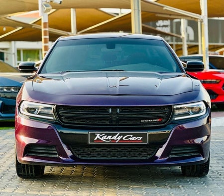 Dodge Charger  2022, photo 2 of 4