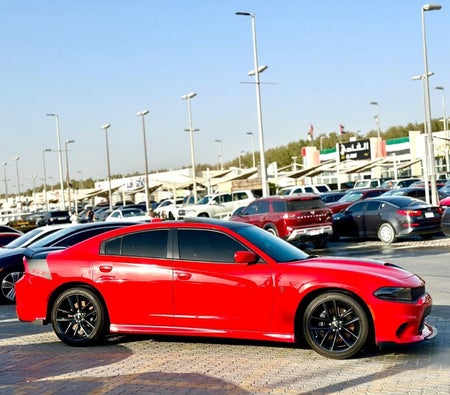 Dodge Charger  2022, photo 4 of 4