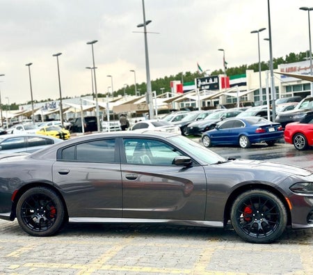 Dodge Charger  2022, photo 4 of 4