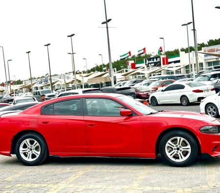Dodge Charger  2022, photo 4 of 4