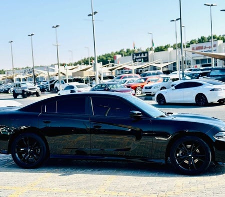 Dodge Charger  2022, photo 4 of 4