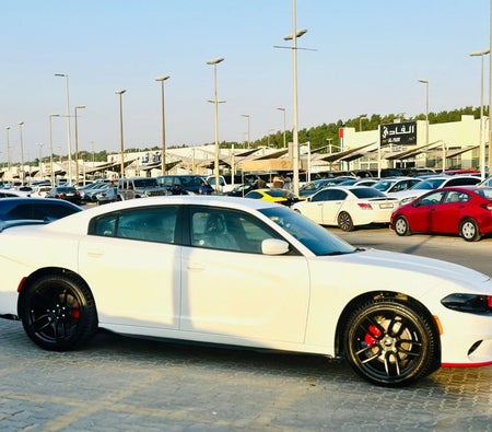Dodge Charger  2022, photo 4 of 4