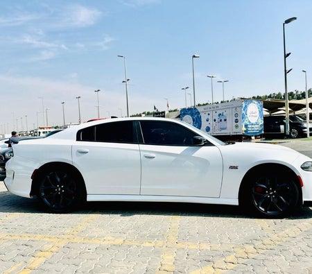 Dodge Charger  2022, photo 4 of 4