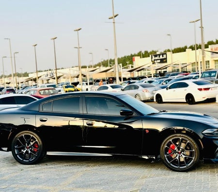 Dodge Charger  2022, photo 4 of 4