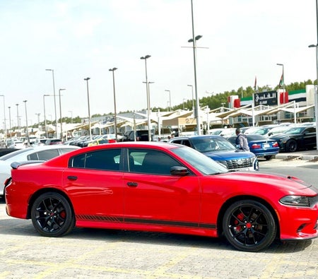 Dodge Charger  2022, photo 4 of 4