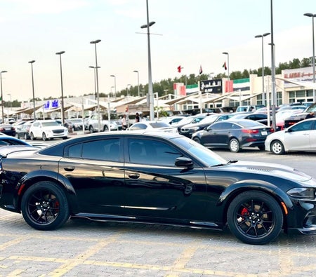 Dodge Charger  2022, photo 4 of 4