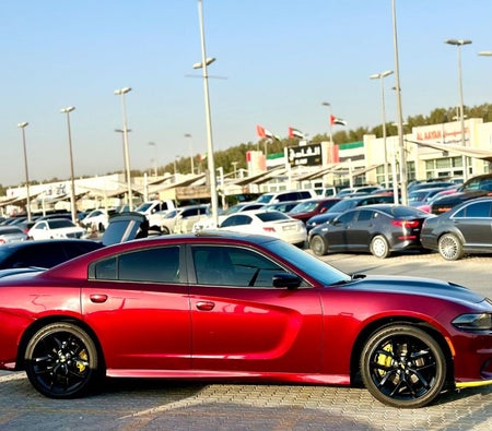 Dodge Charger  2023, photo 4 of 4