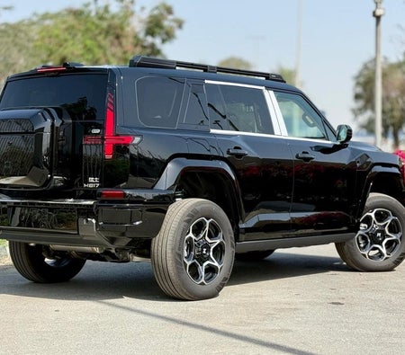 Black Dongfeng M Hero 917 2025