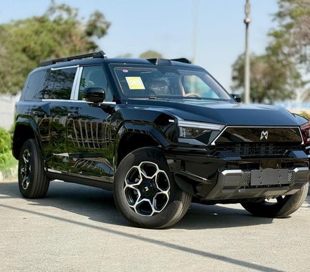 Черный Dongfeng M Hero 917 2025 год Черный Dongfeng M Hero 917 2025 год