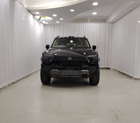 Negro Dongfeng M Hero 917 2025