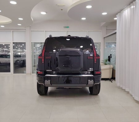 Negro Dongfeng M Hero 917 2025